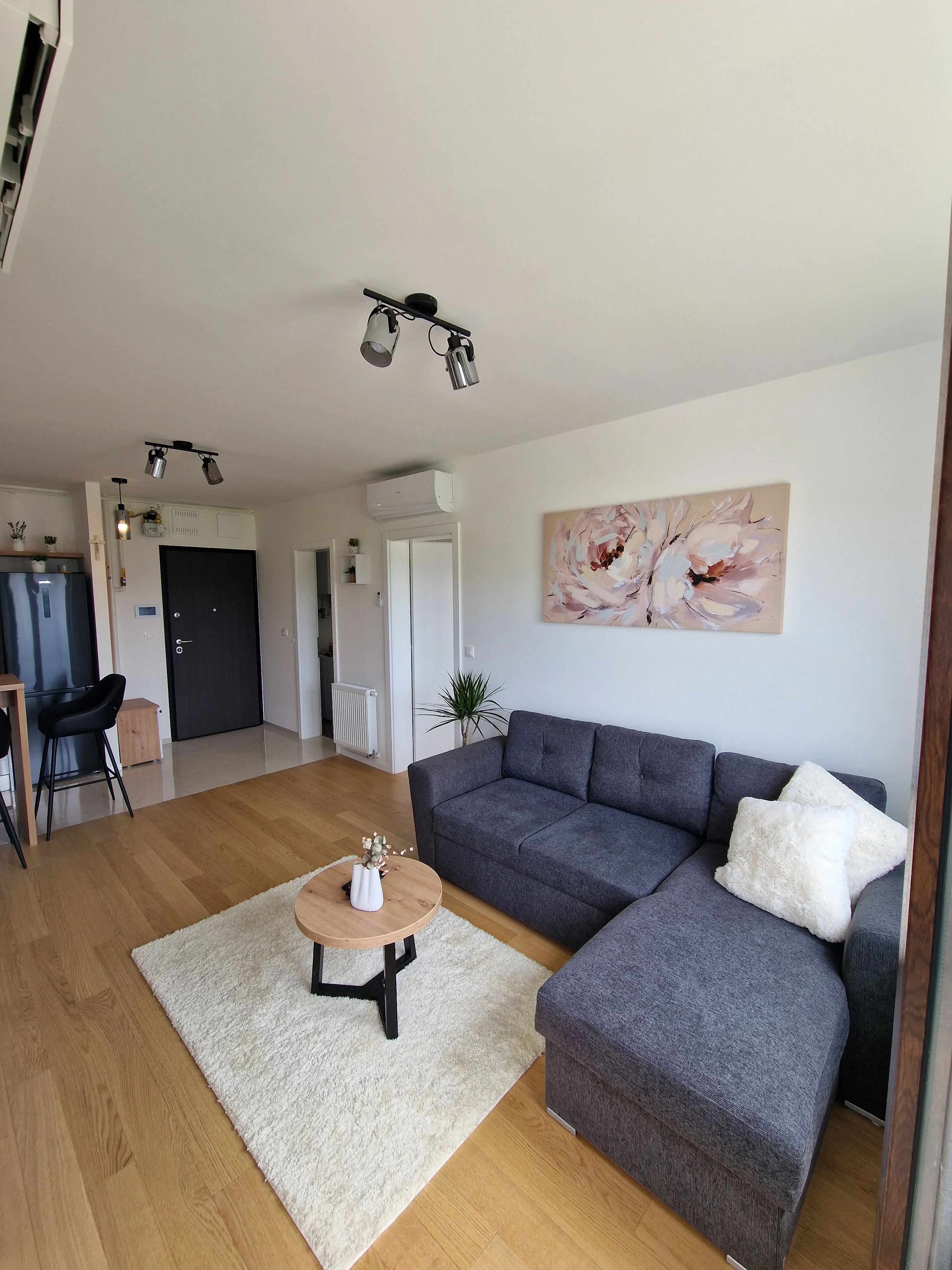 Queen Apartment Karlovac — 20240525_112810